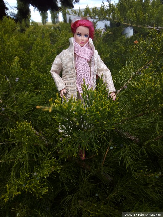 Долгожданная прогулка — Болталка и разговоры обо всем: жизнь (фото 10)