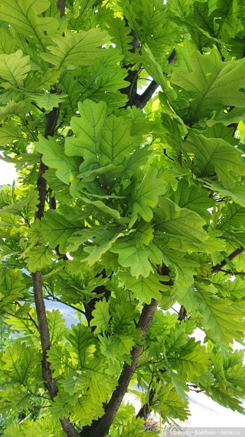 Хороший день — Красивая природа и цветы: фото пейзажей (фото 3)