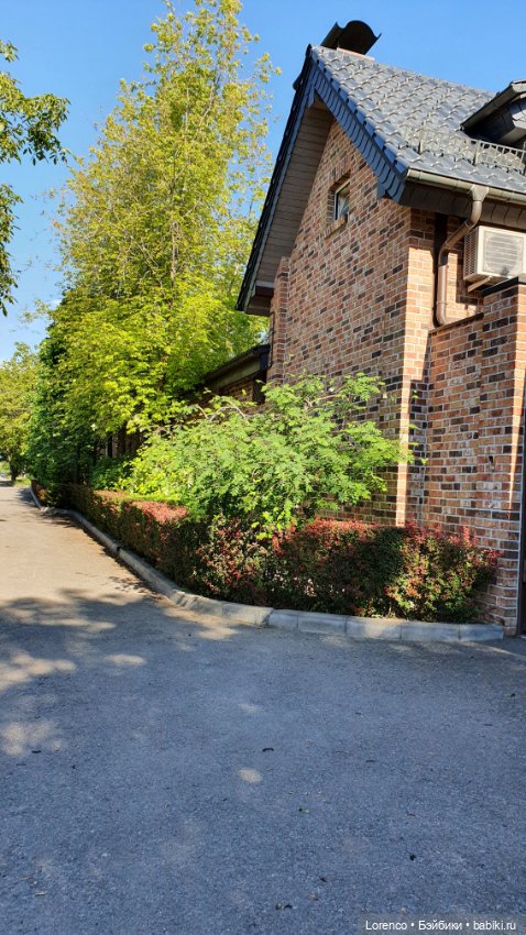 Хороший день — Красивая природа и цветы: фото пейзажей (фото 8)