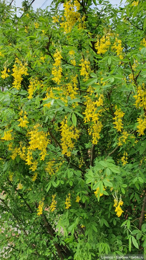 Хороший день — Красивая природа и цветы: фото пейзажей