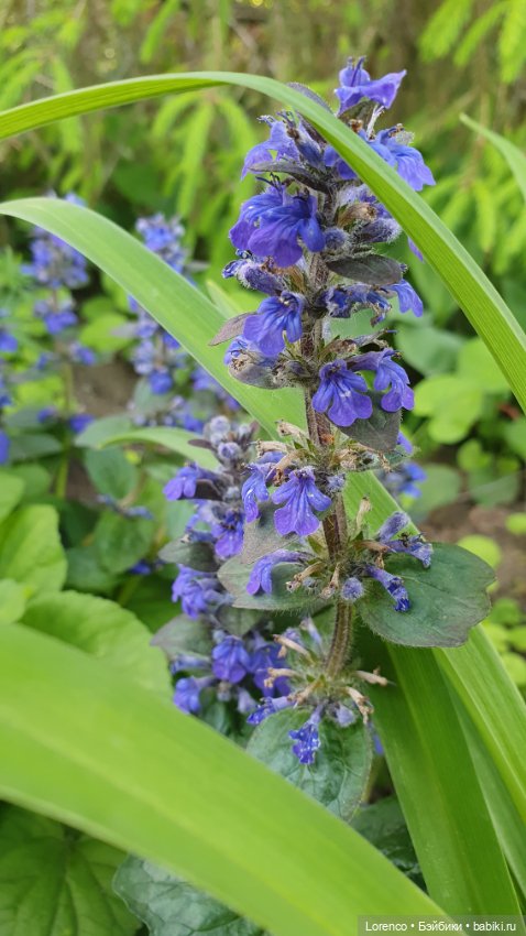 Хороший день — Красивая природа и цветы: фото пейзажей