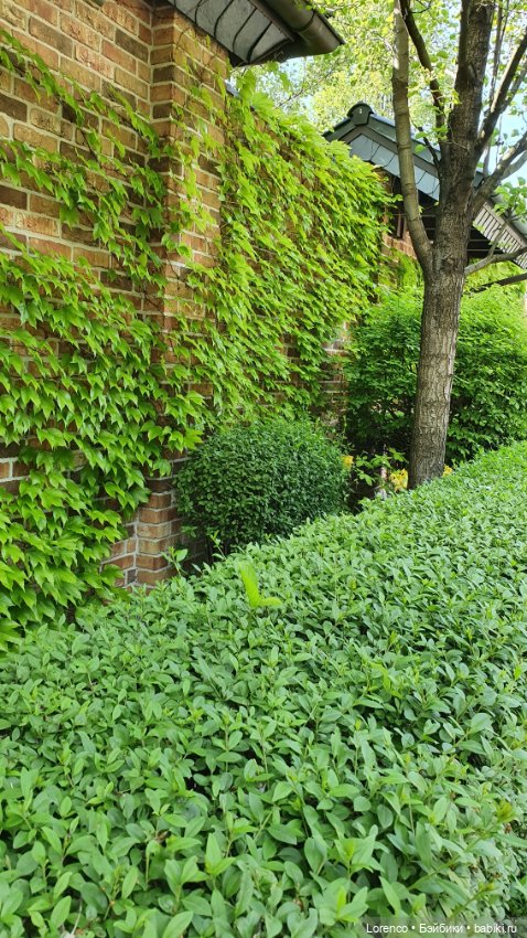 Хороший день — Красивая природа и цветы: фото пейзажей (фото 2)