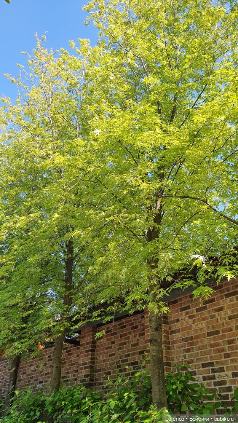 Хороший день — Красивая природа и цветы: фото пейзажей (фото 7)