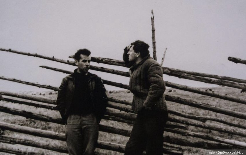 Ниоткуда с любовью — Интересное и необычное: фотоподборки (фото 10)