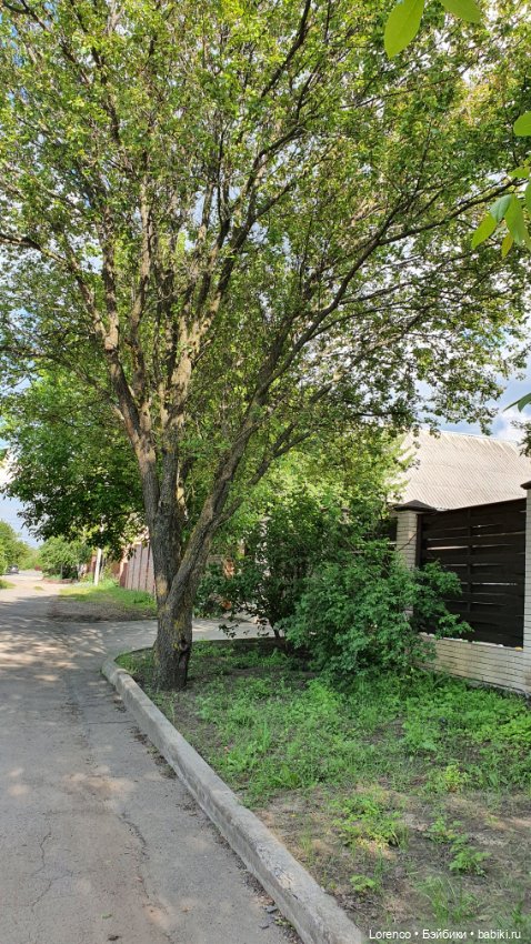 Хороший день — Красивая природа и цветы: фото пейзажей