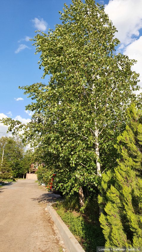 Хороший день — Красивая природа и цветы: фото пейзажей