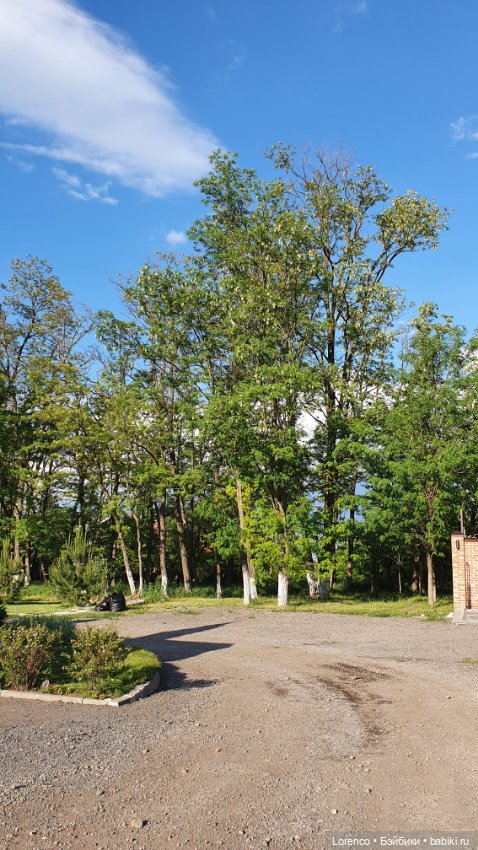 Хороший день — Красивая природа и цветы: фото пейзажей