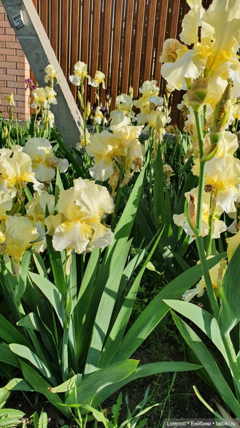 Хороший день — Красивая природа и цветы: фото пейзажей