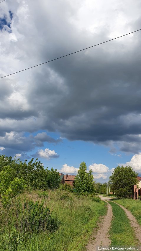 Хороший день — Красивая природа и цветы: фото пейзажей