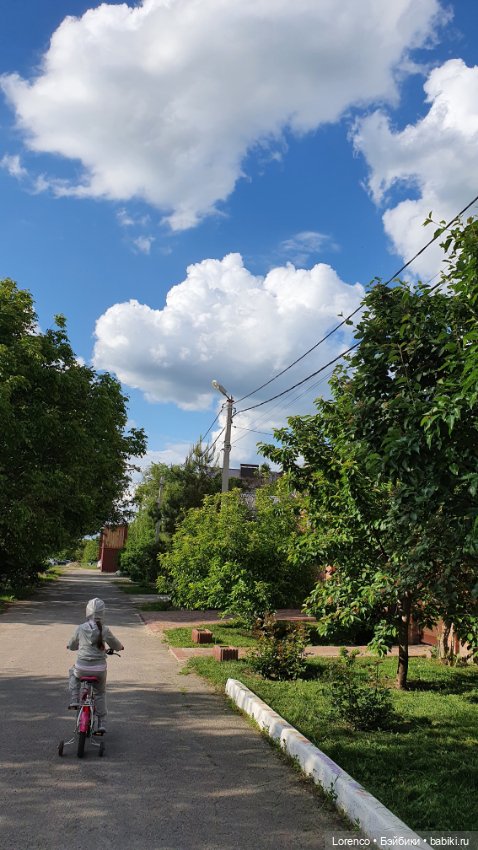 Хороший день — Красивая природа и цветы: фото пейзажей