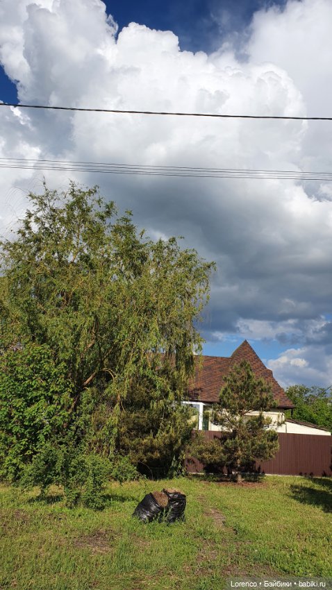 Хороший день — Красивая природа и цветы: фото пейзажей