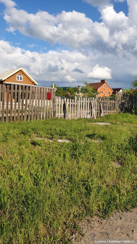 Хороший день — Красивая природа и цветы: фото пейзажей