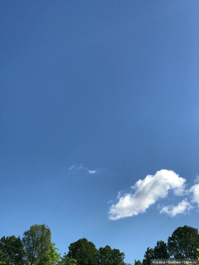 Ванильных мальчиков, находят в одуванчиках (фото 5)