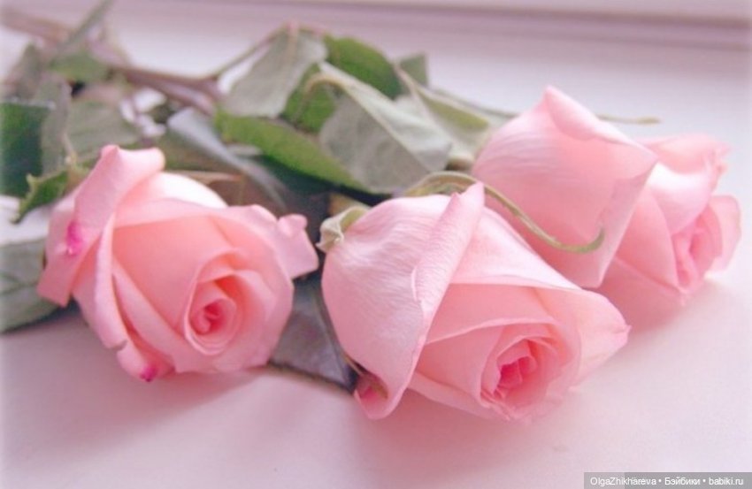 Моя Обаяшечка и Улыбака Тетти!!!☀️🍓🌾🌺🥰🤗