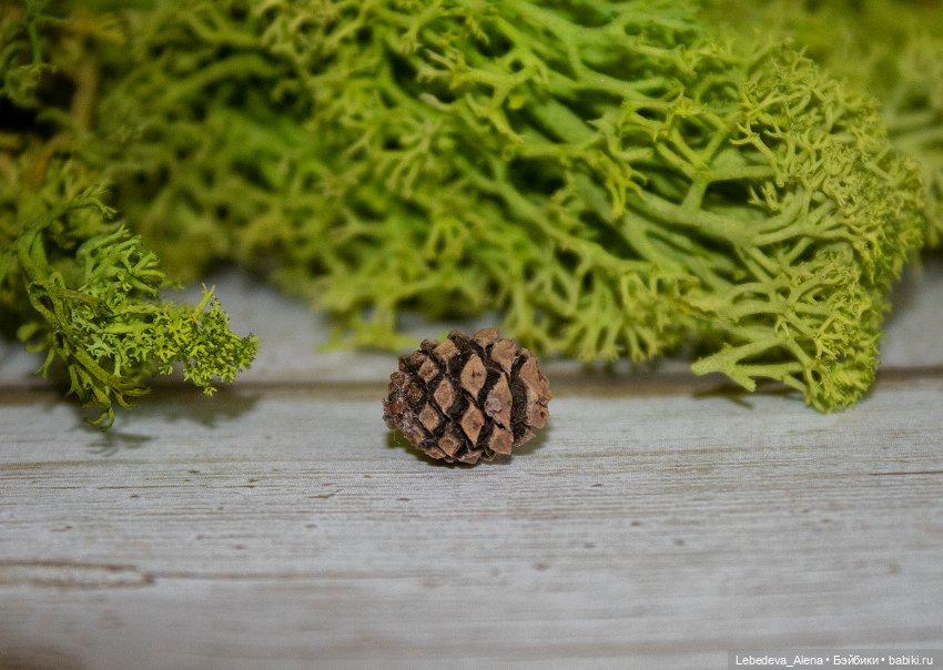 Как задушить кукольную жабу (фото 6)