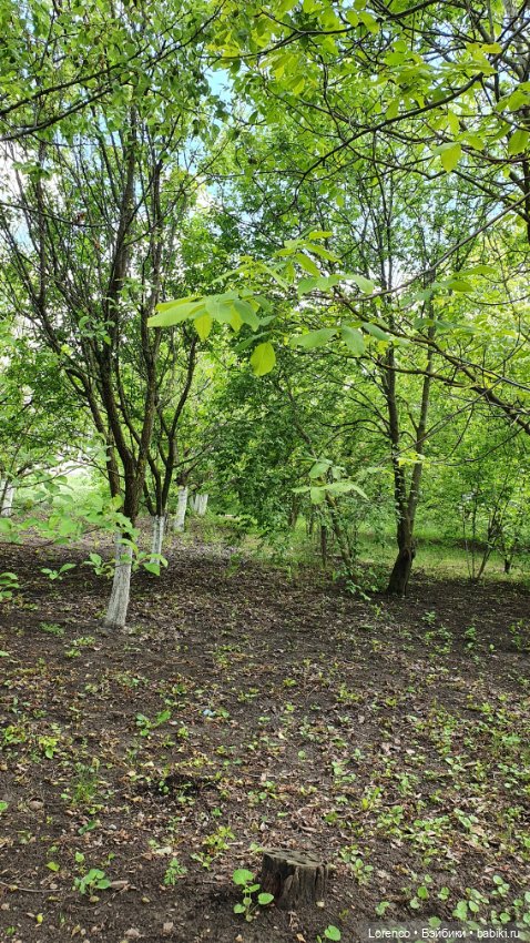 Хороший день — Красивая природа и цветы: фото пейзажей