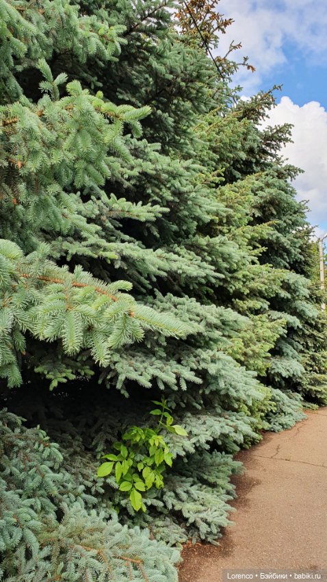 Хороший день — Красивая природа и цветы: фото пейзажей