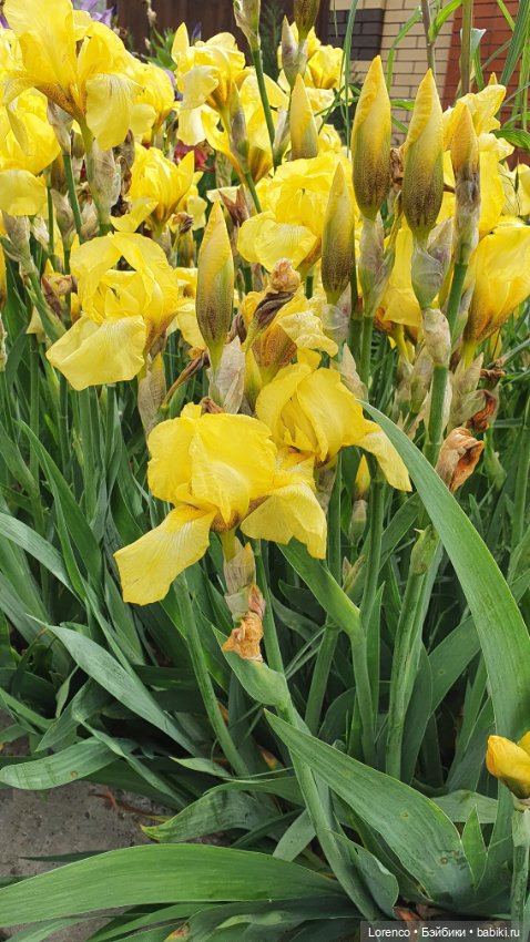 Хороший день — Красивая природа и цветы: фото пейзажей