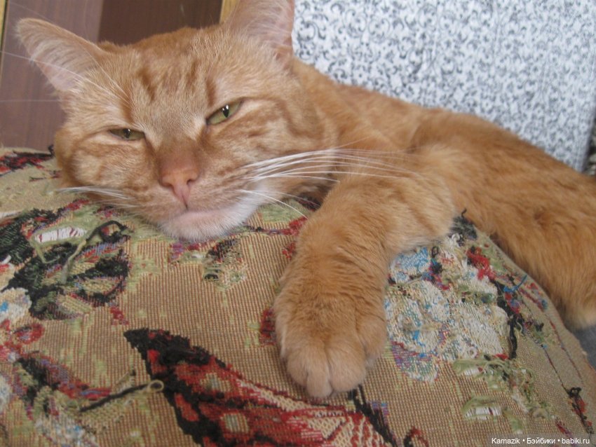 Разные шарнирные куклы (не БЖД): редкие (фото 4)