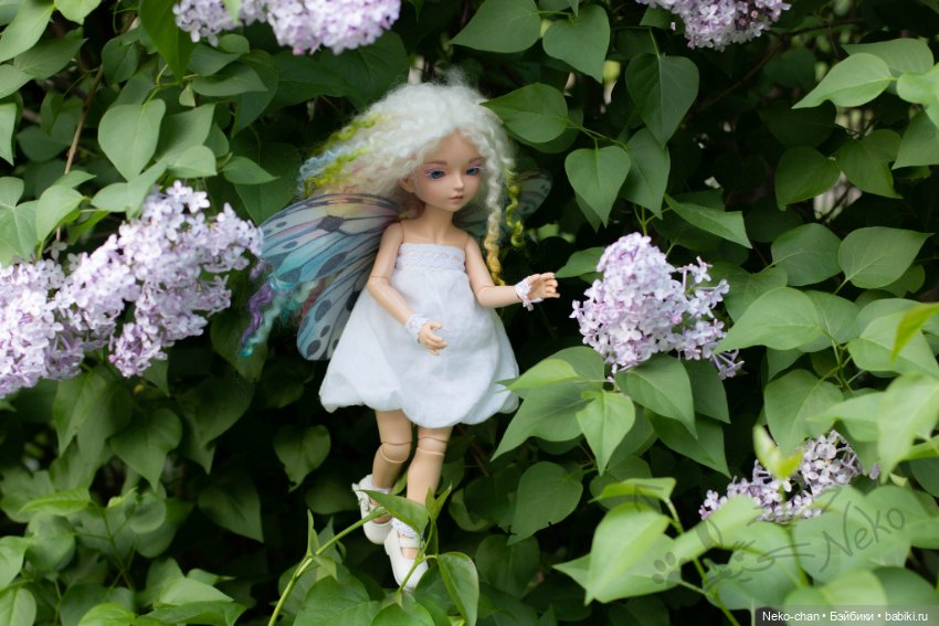 В карантин осмелели ни только звери, но и феи