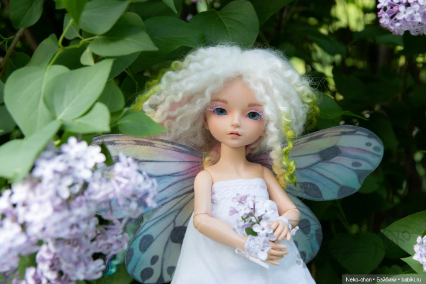 В карантин осмелели ни только звери, но и феи (фото 5)