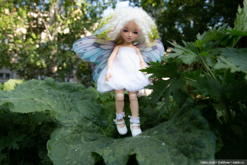 В карантин осмелели ни только звери, но и феи (фото 9)