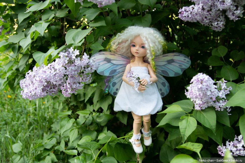 В карантин осмелели ни только звери, но и феи (фото 7)