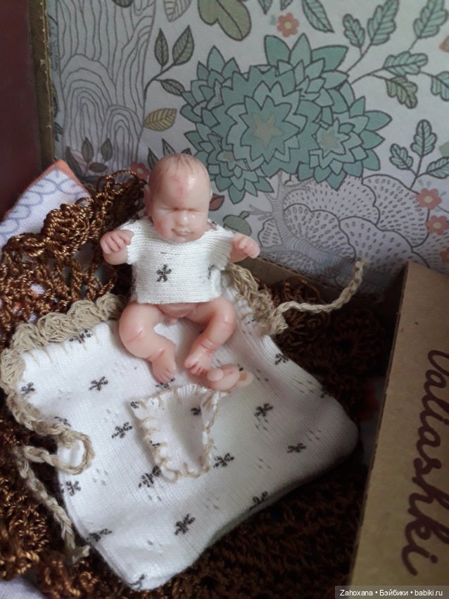 У мини куколки Лукаса новый дом (фото 3)