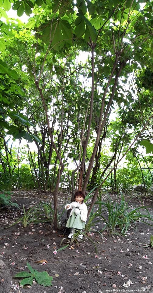 Хейди выходит на прогулку (фото 2)