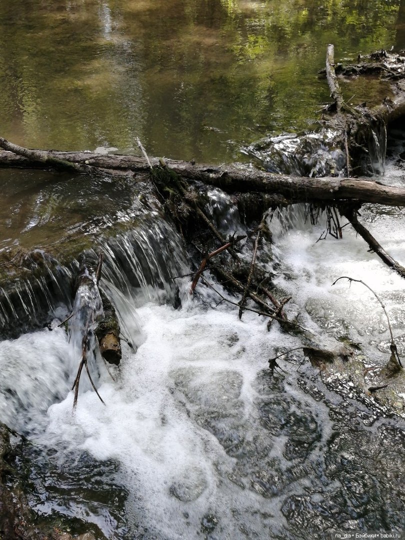 Прогулка по лесу — Куклы Dust of Dolls (Даст оф Доллс): BJD (БЖД)