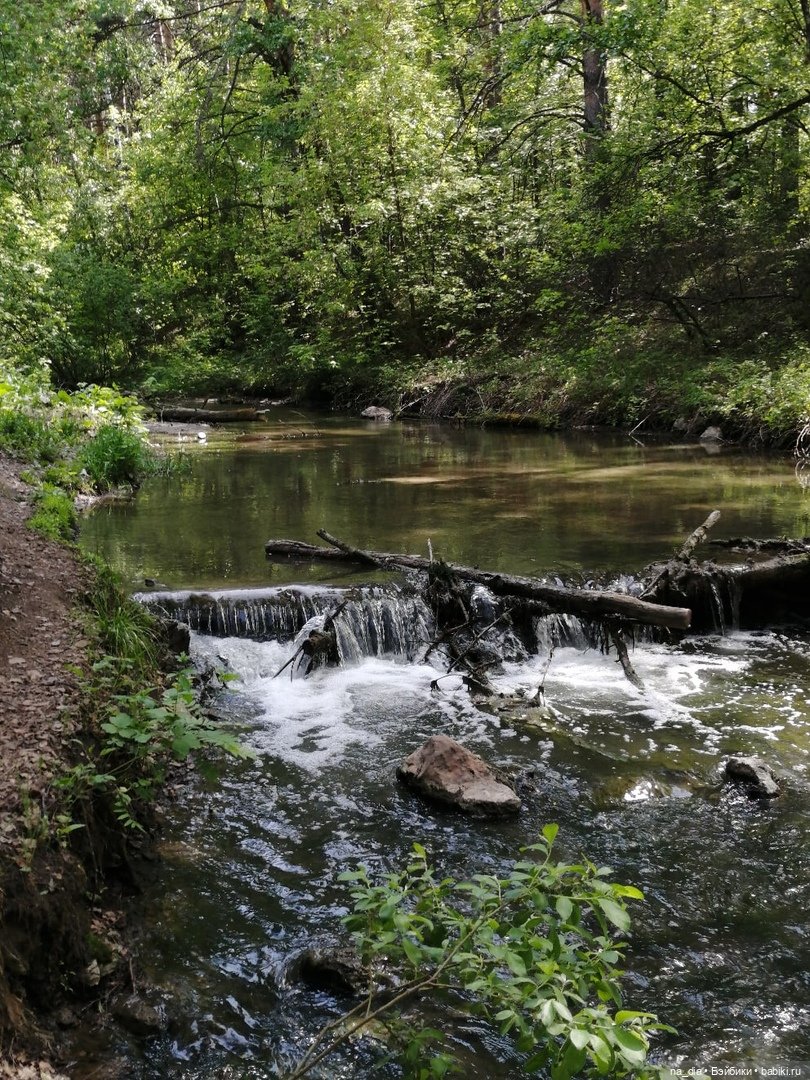 Прогулка по лесу — Куклы Dust of Dolls (Даст оф Доллс): BJD (БЖД)