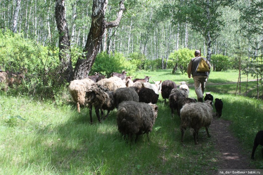 Прогулка по лесу — Куклы Dust of Dolls (Даст оф Доллс): BJD (БЖД) (фото 5)