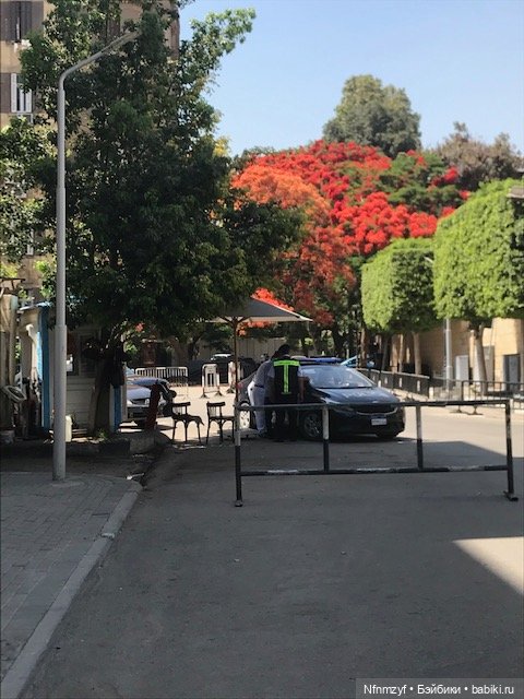 Красоты Каира моими глазами