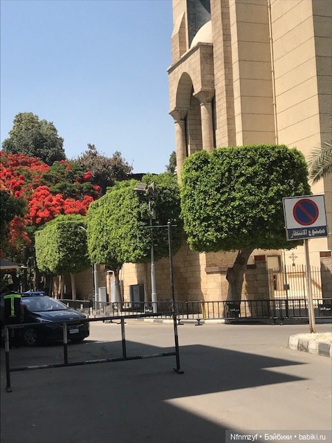 Красоты Каира моими глазами (фото 8)