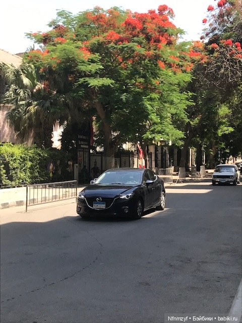 Красоты Каира моими глазами (фото 10)