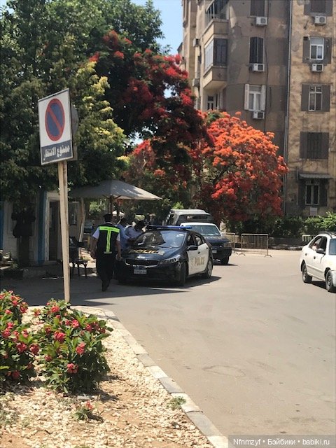 Красоты Каира моими глазами (фото 9)