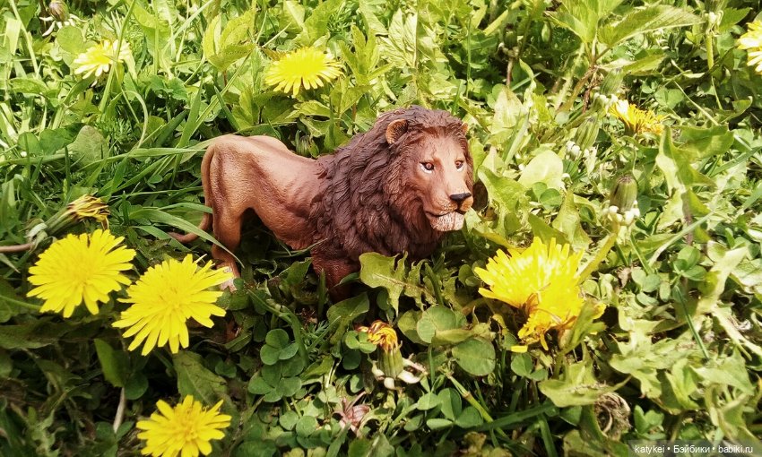 О Клир – ты Мир — Болталка и разговоры обо всем: жизнь (фото 2)