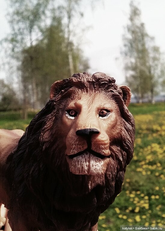 О Клир – ты Мир — Болталка и разговоры обо всем: жизнь