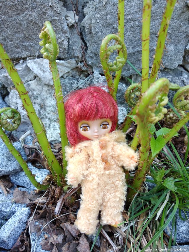 Медвежонок в одуванчиках — Оригинальные куклы Blythe (Блайз): Takara (фото 3)