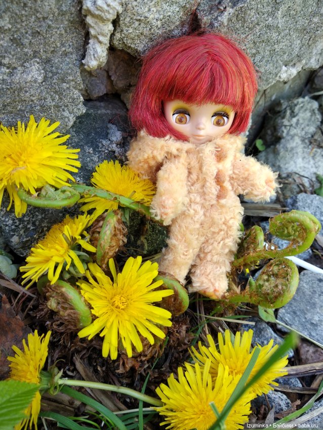 Медвежонок в одуванчиках — Оригинальные куклы Blythe (Блайз): Takara (фото 8)