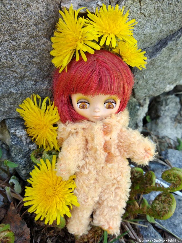 Медвежонок в одуванчиках — Оригинальные куклы Blythe (Блайз): Takara (фото 9)