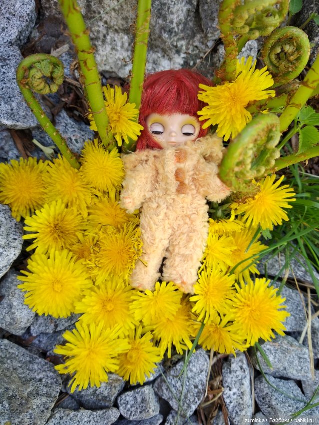 Медвежонок в одуванчиках — Оригинальные куклы Blythe (Блайз): Takara (фото 5)