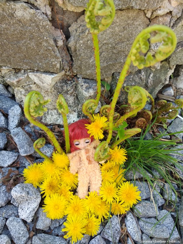 Медвежонок в одуванчиках — Оригинальные куклы Blythe (Блайз): Takara (фото 4)