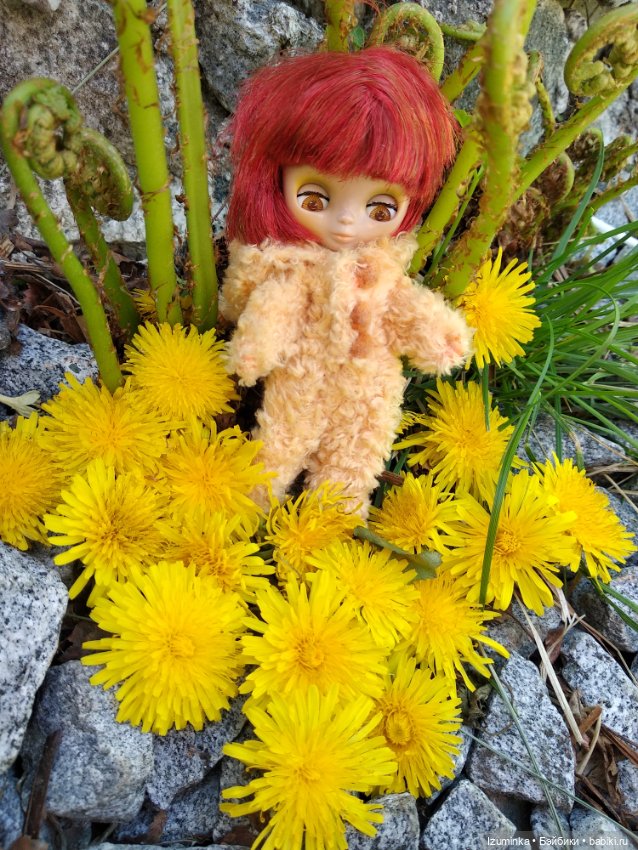 Медвежонок в одуванчиках — Оригинальные куклы Blythe (Блайз): Takara (фото 7)