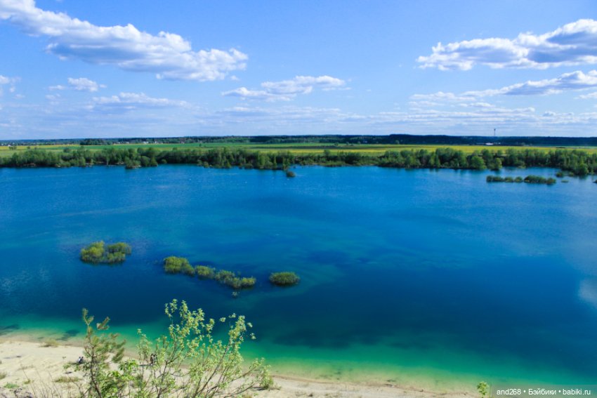 Борницкий карьер и Хлоя в одуванчиках