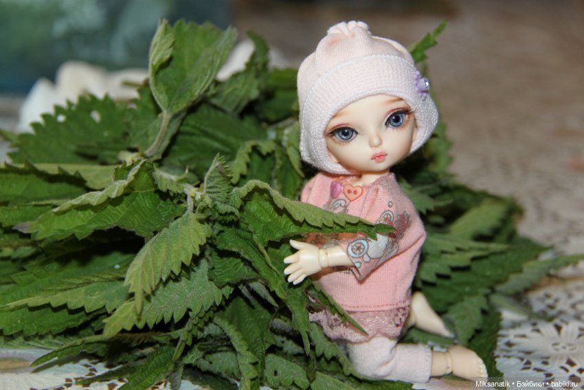 Вот оно какое наше лето — Фотоистории с куклами BJD (БЖД): сериалы