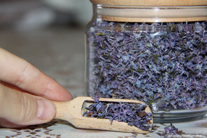 Вот оно какое наше лето — Фотоистории с куклами BJD (БЖД): сериалы (фото 8)