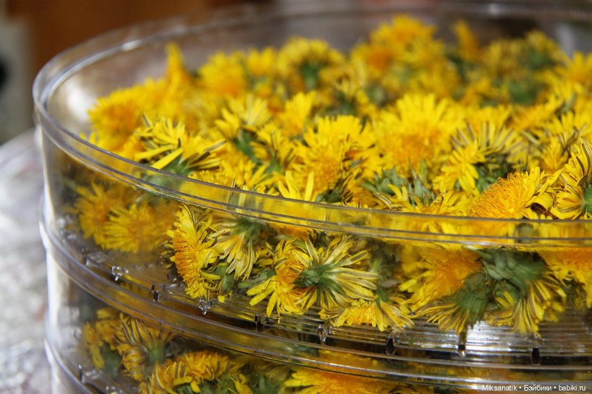 Вот оно какое наше лето — Фотоистории с куклами BJD (БЖД): сериалы