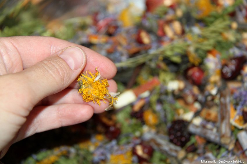 Вот оно какое наше лето — Фотоистории с куклами BJD (БЖД): сериалы