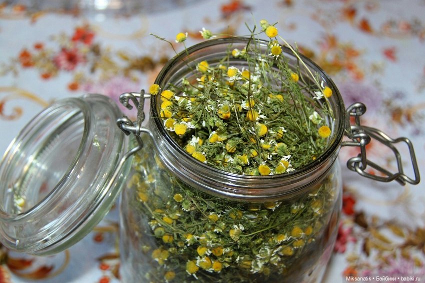 Вот оно какое наше лето — Фотоистории с куклами BJD (БЖД): сериалы